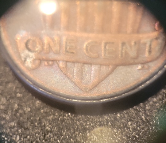 2016-Penny-Probably-Just-Damaged-But-Looks-Strange-Better-Pictures