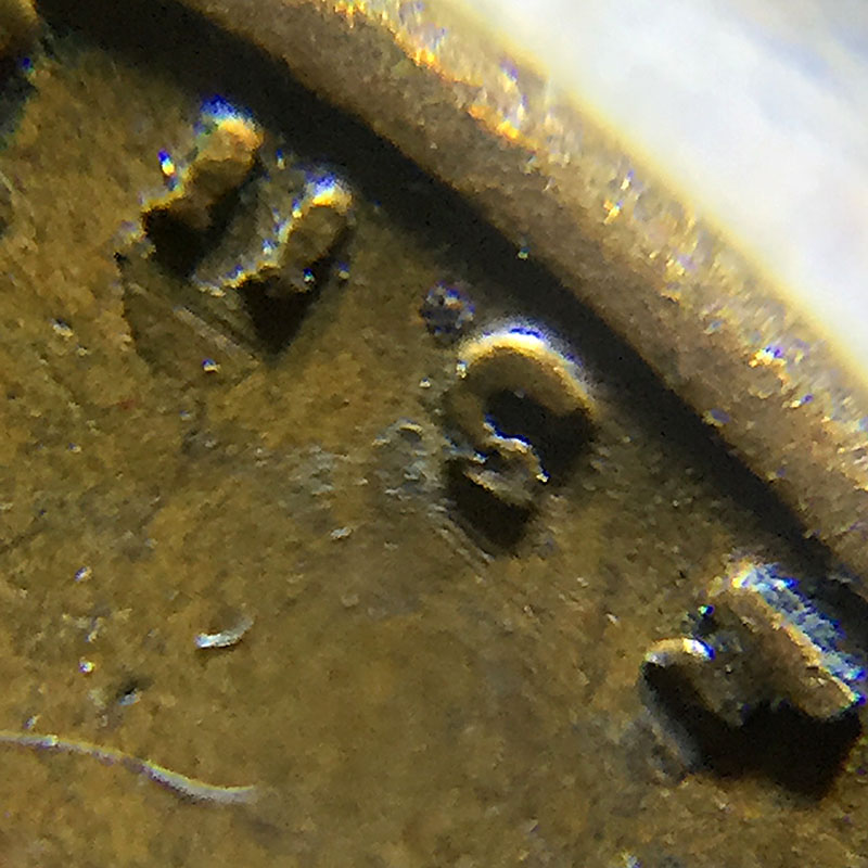 PMD-Or-A-Die-Error?-Opinions