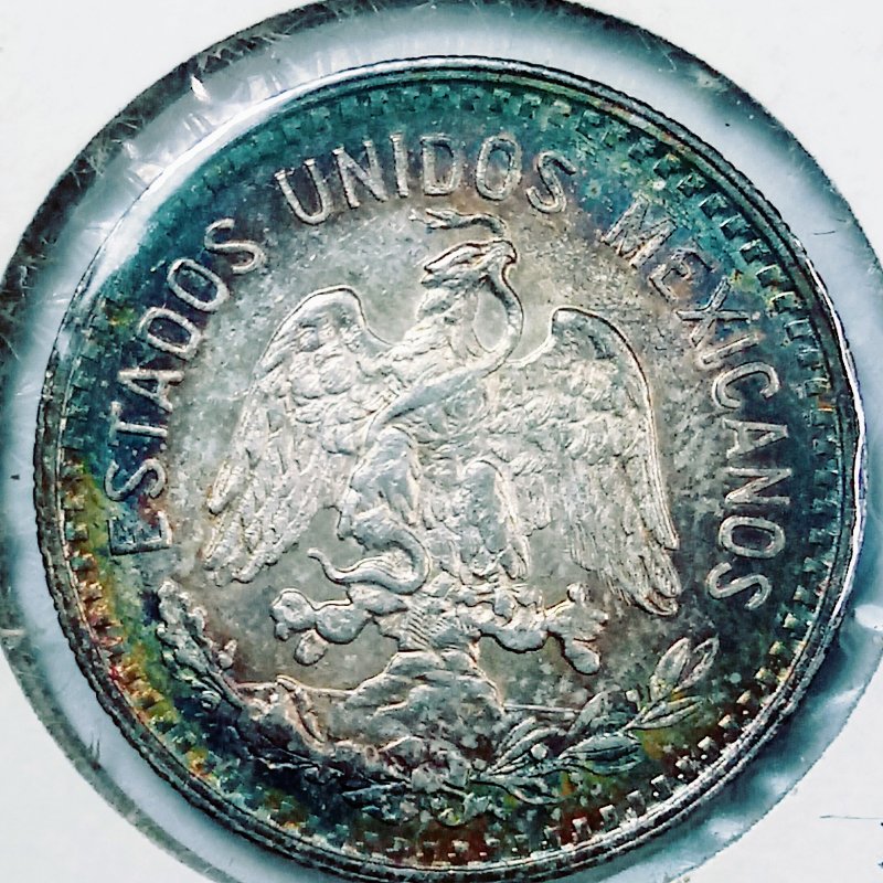 Continuing-List-To-Show-Everyones-Latest-Acquisitions