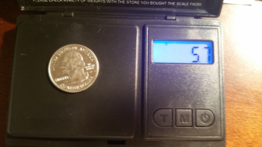 2004-P-Michigan-State-Quarter-Error?-/-Opinions-Please