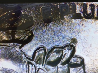 Bessie-Is-Engaged.--Is-This-A-Die-Chip?-2023-Quarter