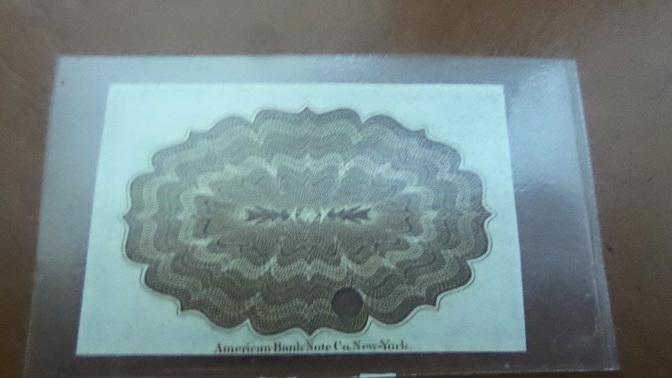 State-Of-Maine-Specimen