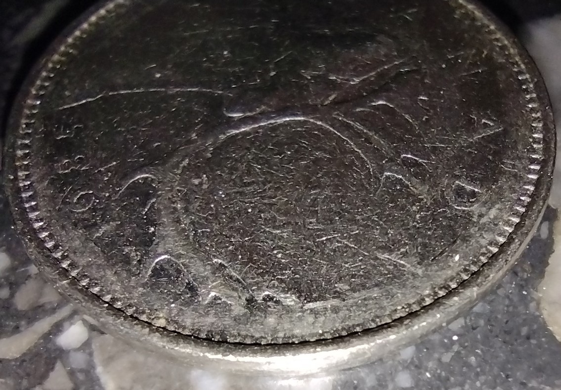 1985-Canadian-Quarter-No-Reeded-Edge-Or-Worn?
