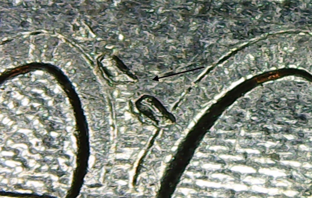 2016-ATB-Harpers-Ferry-Cud-Error?