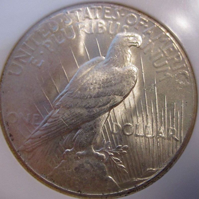 1926-P-Peace-Dollar,-Just-Struck-Through?