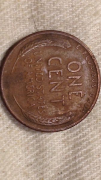 1929-D...opinion-Of-The-D