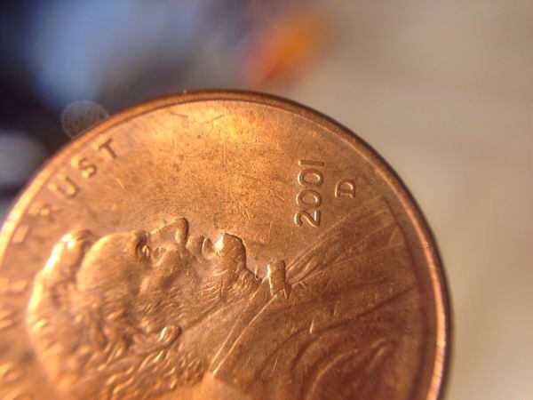 2001-D....abe's-Eyelid