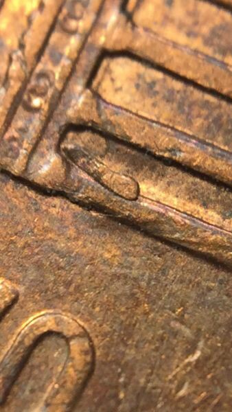 Glob-In-Bay-One-Of-Memorial,-Die-Chip?