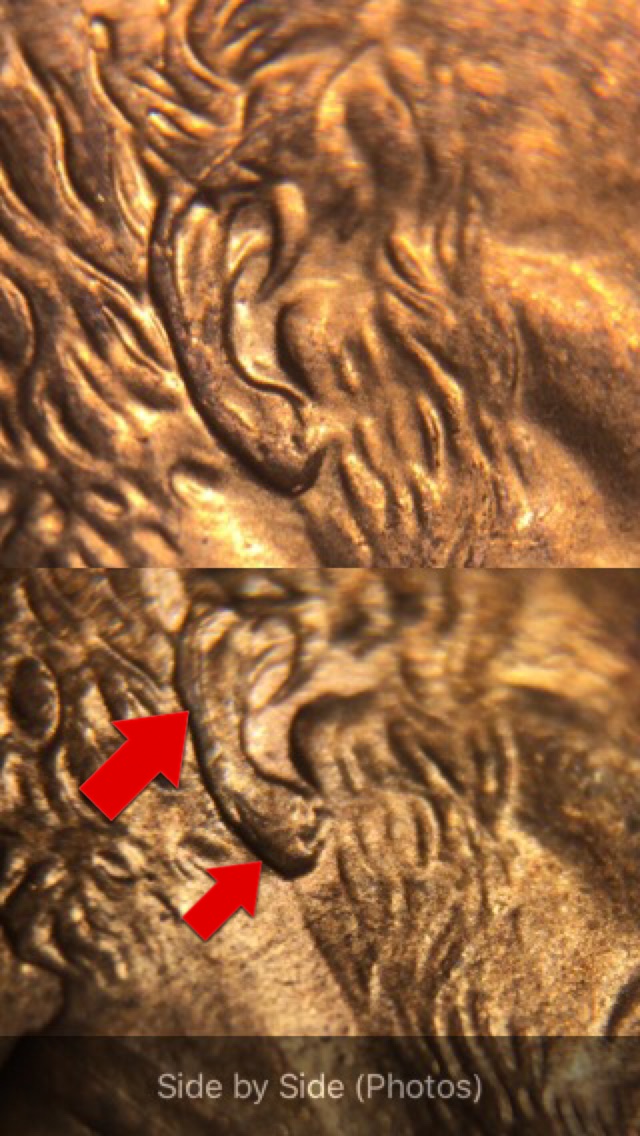 1999-D,-Doubled-Ear?-No-Listing,-Maybe-A-Red-Herring.