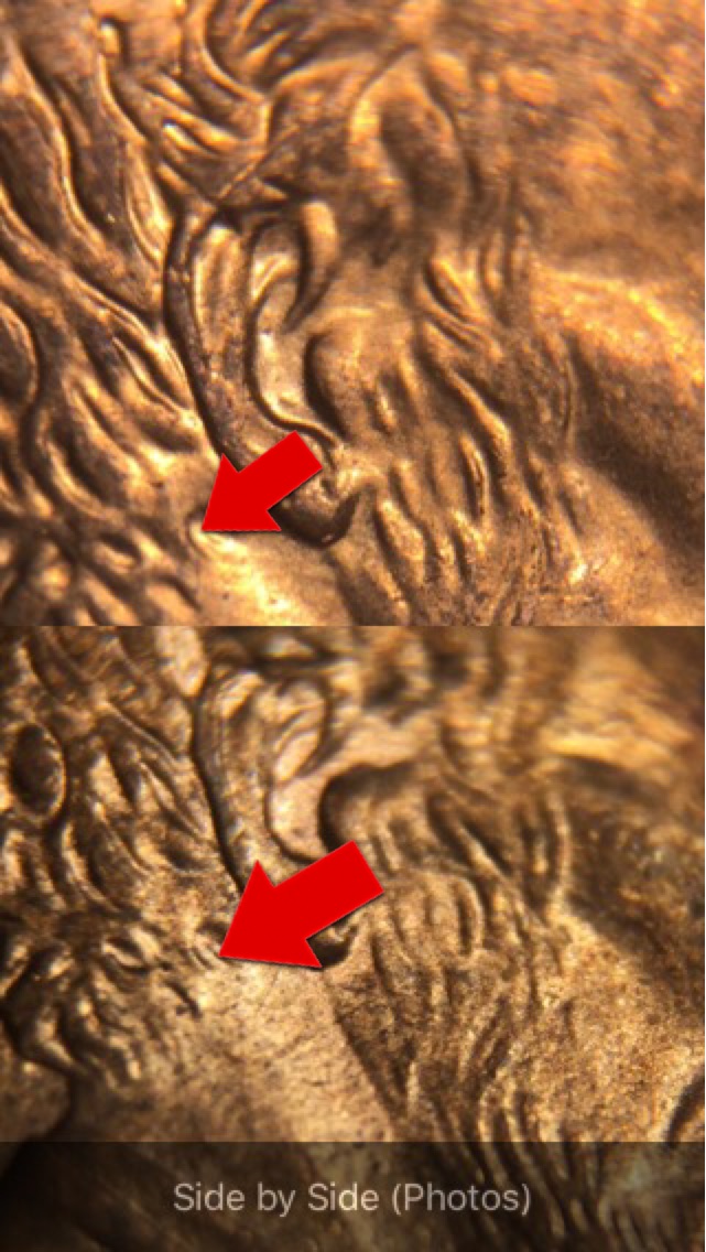 1999-D,-Doubled-Ear?-No-Listing,-Maybe-A-Red-Herring.