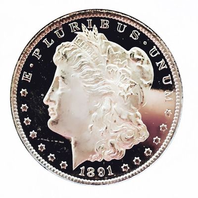 The-Best-Ebay-Pictures-That-I-Have-Ever-Seen-For-A-Coin