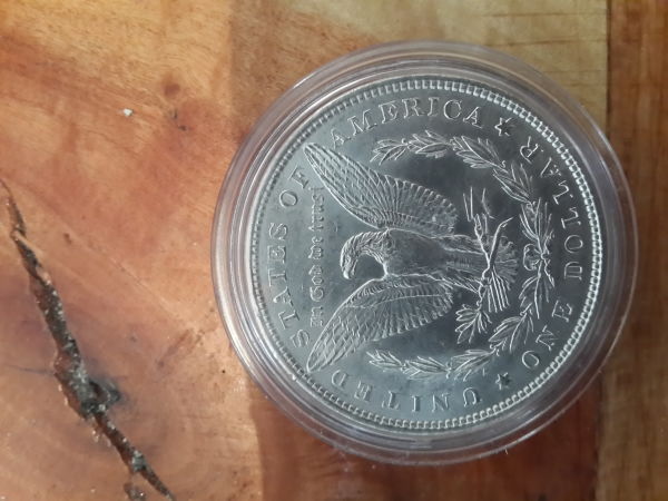 Morgan-Dollar-Fresh-From-The-US