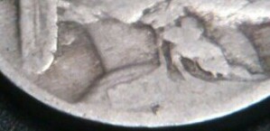 Indian-Head-Nickels