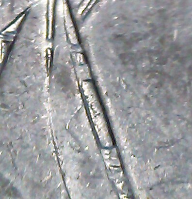 2001-Rhode-Island-Quarter