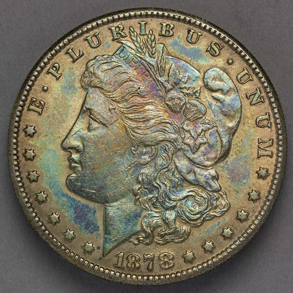 1878-S-1879-Reverse-Morgan-Dollar---Your-Opinion,-Please