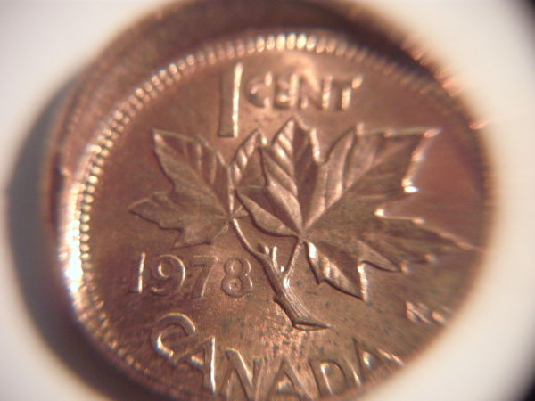 Penny-Error-Found-While-Roll-Searching.