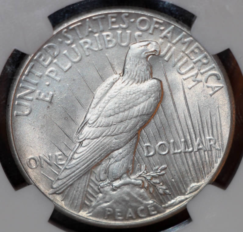 You-Vs.-NGC---1928-Peace-Dollar
