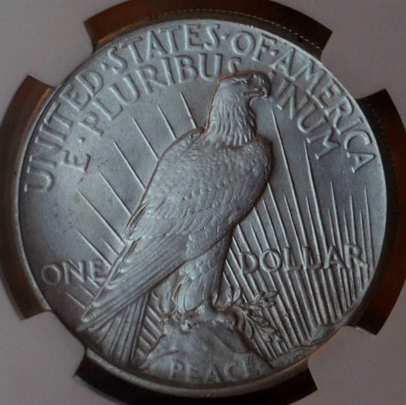 You-Vs.-NGC---1928-Peace-Dollar
