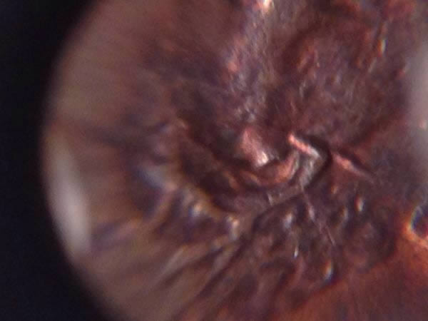 1983-D-Lincoln--Obverse-Ear-Lobe?