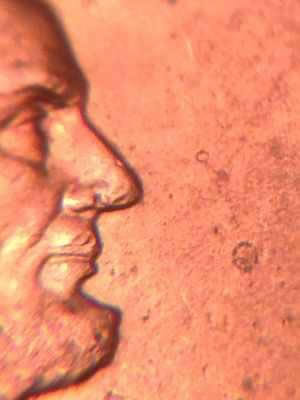 2004-D-1-DR-001?-Or--016?