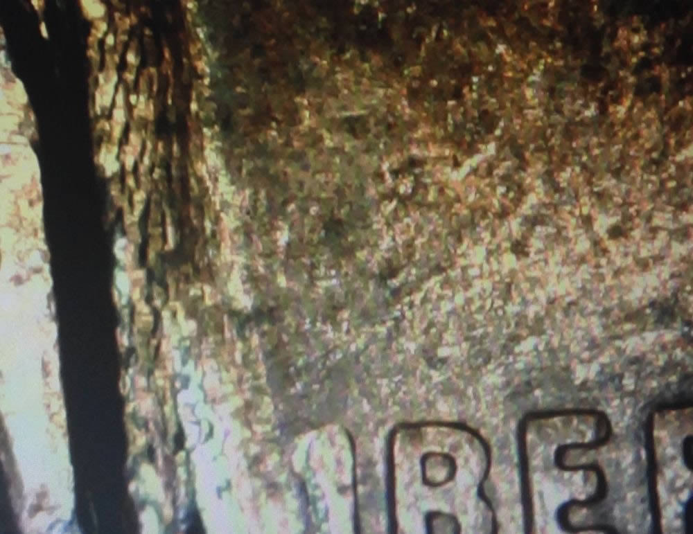 2004-D-Is-This-An-Error-Or-Damaged?