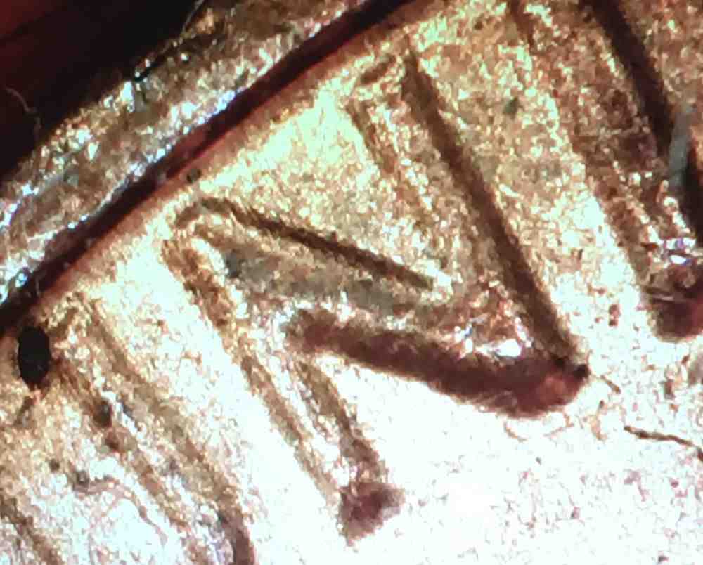 1982-Lincoln-Cent-DDO-Or-Worn-Die?-Help-Please.