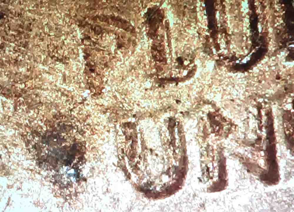 1982-Lincoln-Cent-DDO-Or-Worn-Die?-Help-Please.