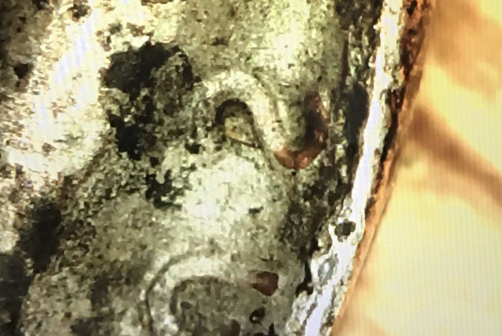 Help-Needed,-Possible-Error-Or-Damaged?