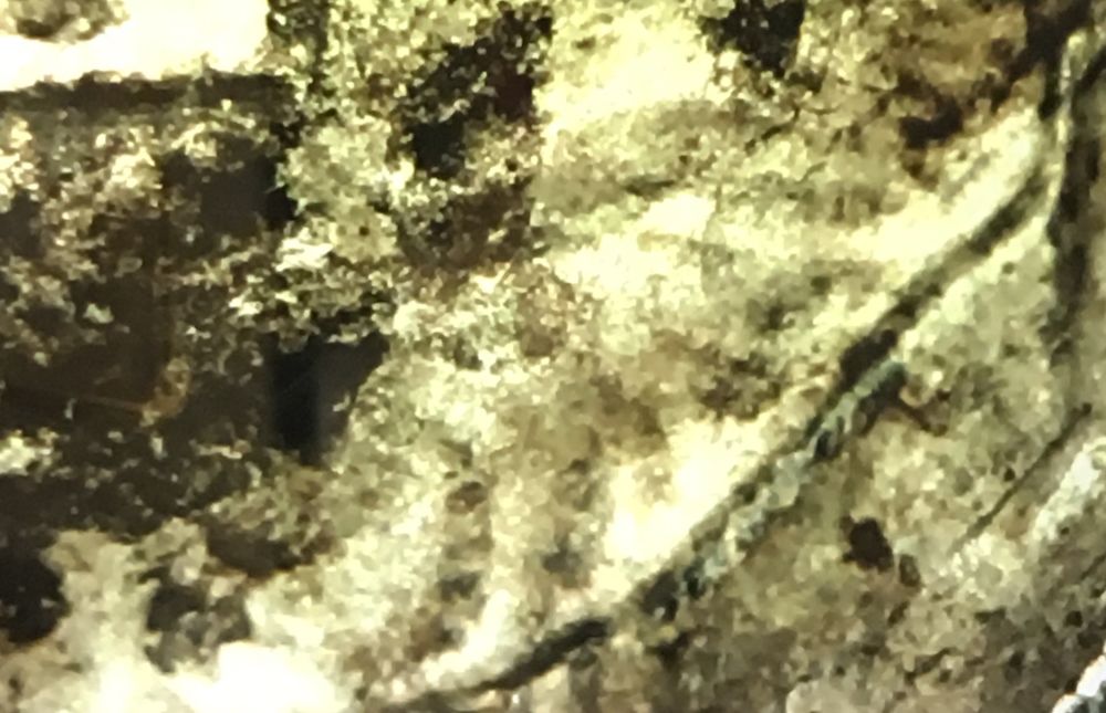 Help-Needed,-Possible-Error-Or-Damaged?