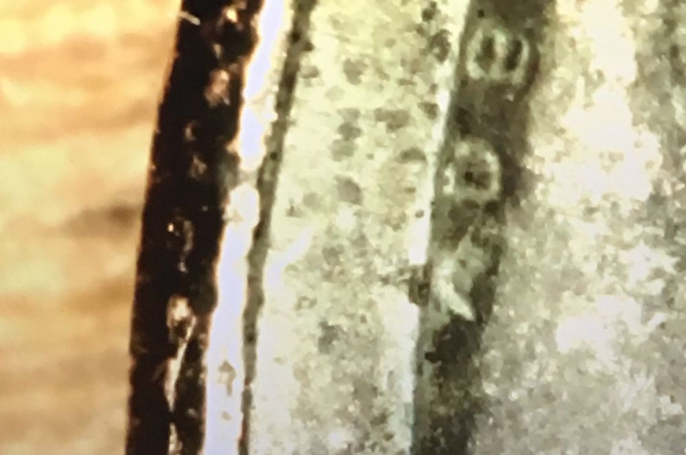 Help-Needed,-Possible-Error-Or-Damaged?