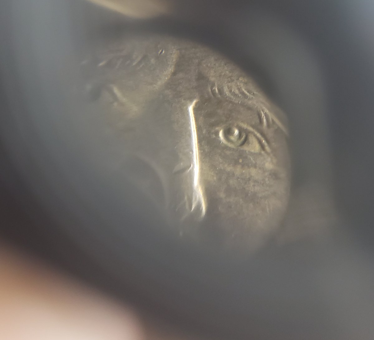 Need-Help---Grant-$1-Presidential-Coin---Different-Eye-Colors