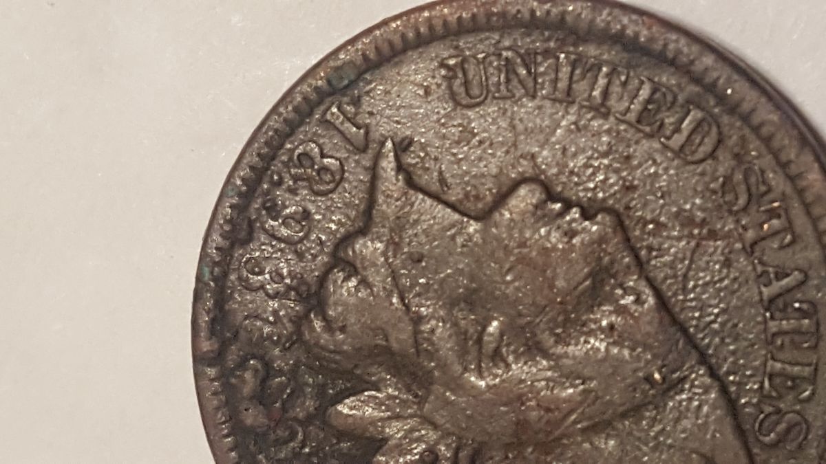 1893-Indian-Head-Penny-Not-Sure-What-Is-On-This?