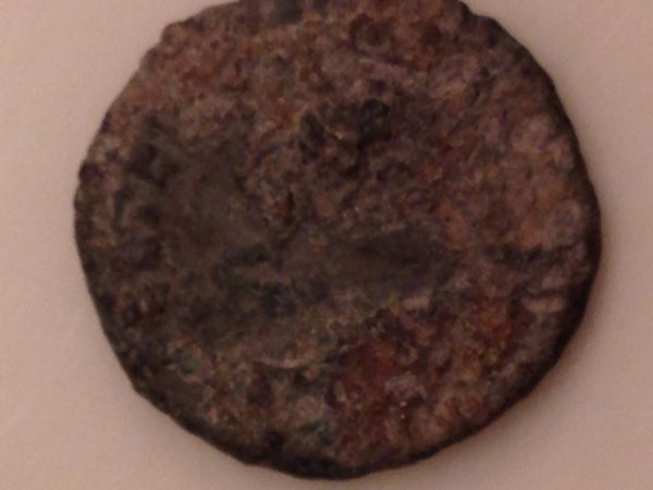 Are-These-Coins-