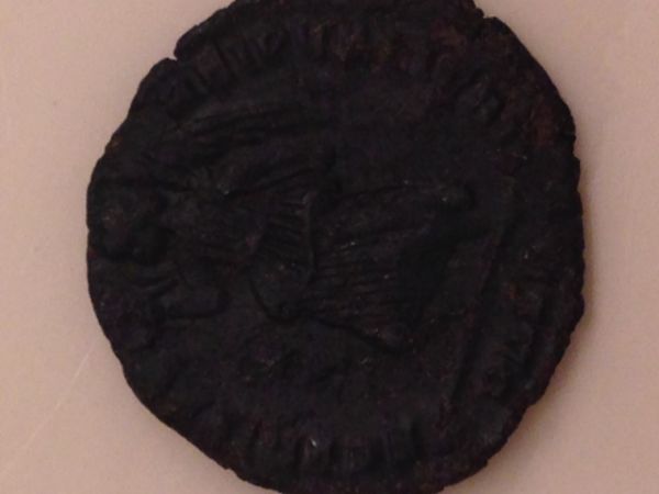 Are-These-Coins-