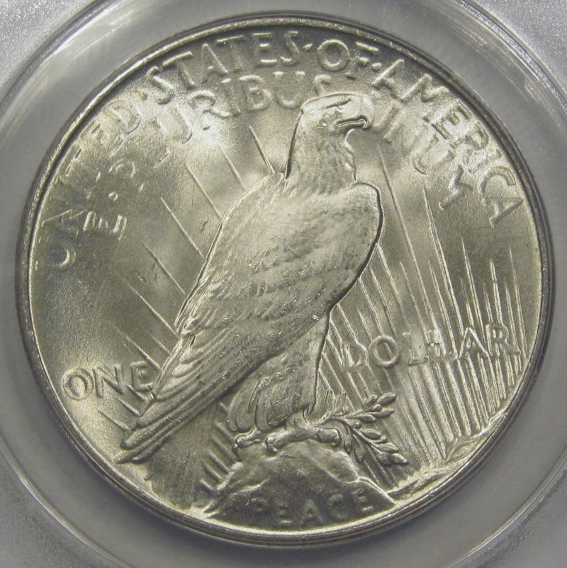 10-Days-Of-Peace-Dollars!