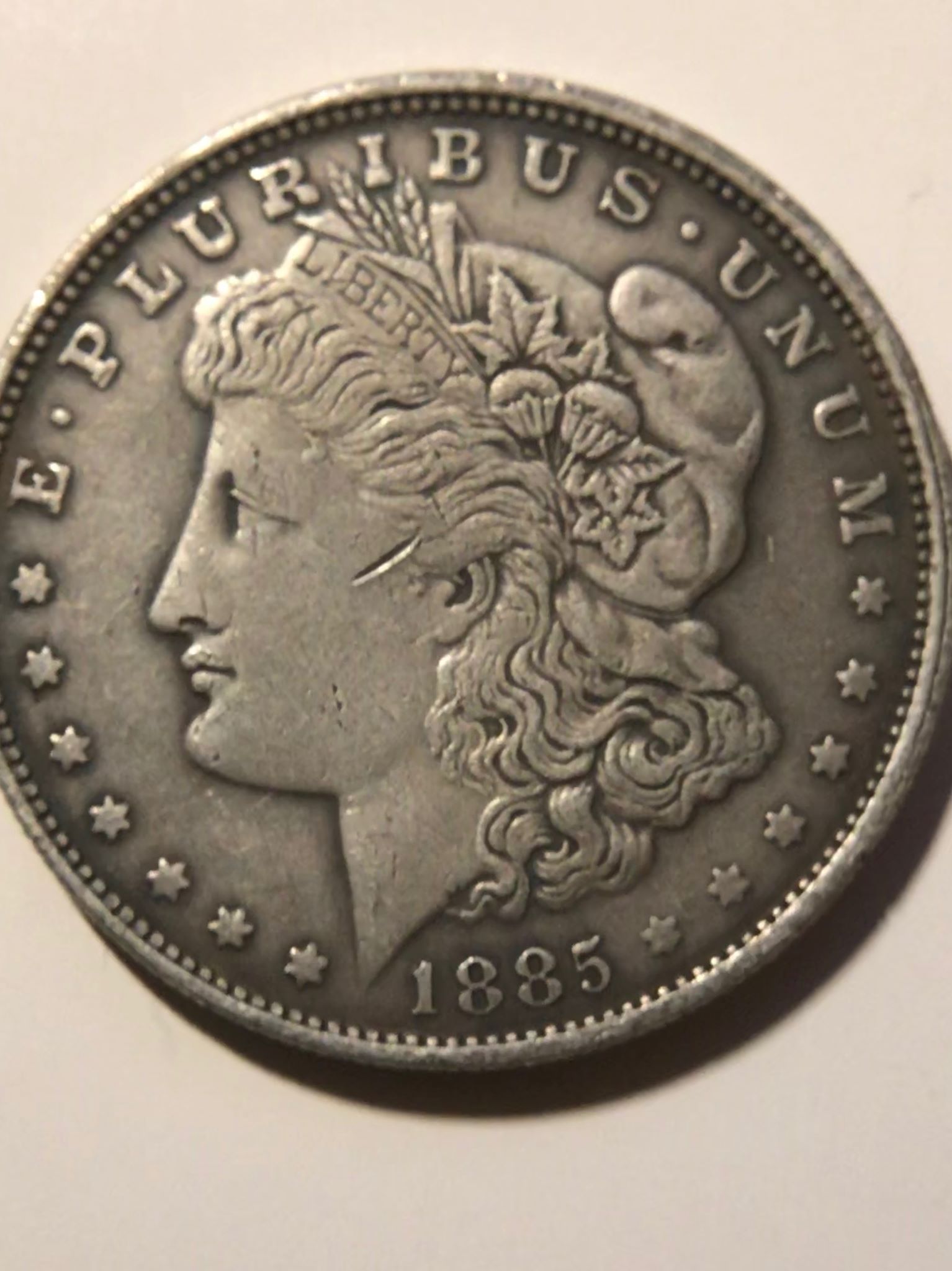 Error-On-Arrows-And-Feathers-On-An-1885-Morgan-Dollar