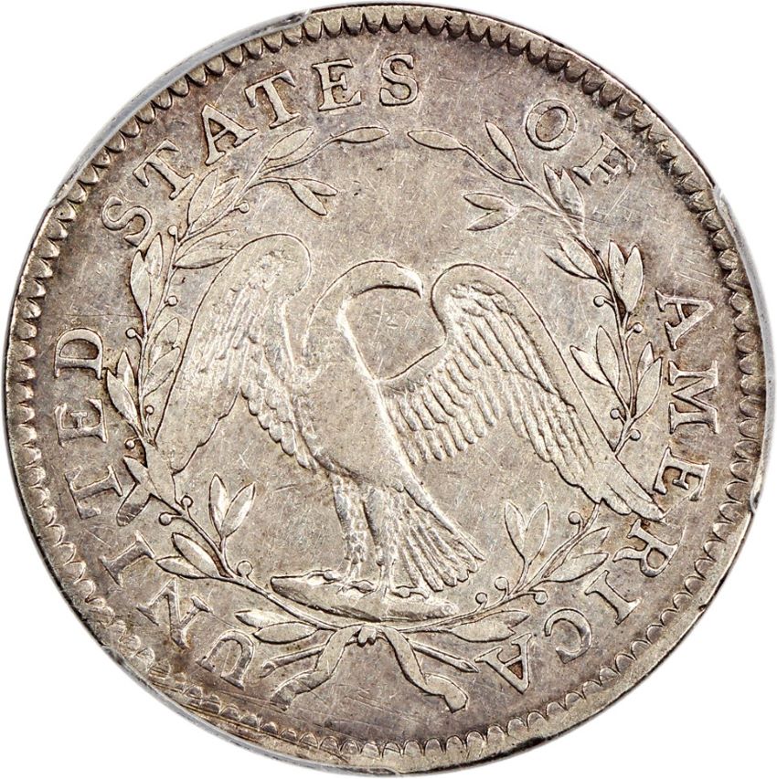 PCGS-Vs.-You:-1795-Flowing-Hair-Half-Dollar