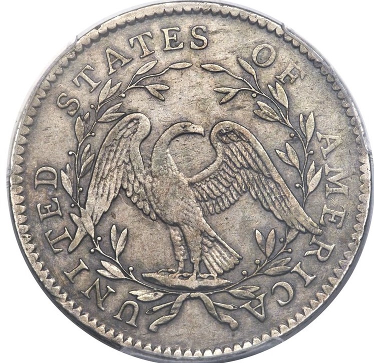 PCGS-Vs.-You:-1795-Flowing-Hair-Half-Dollar