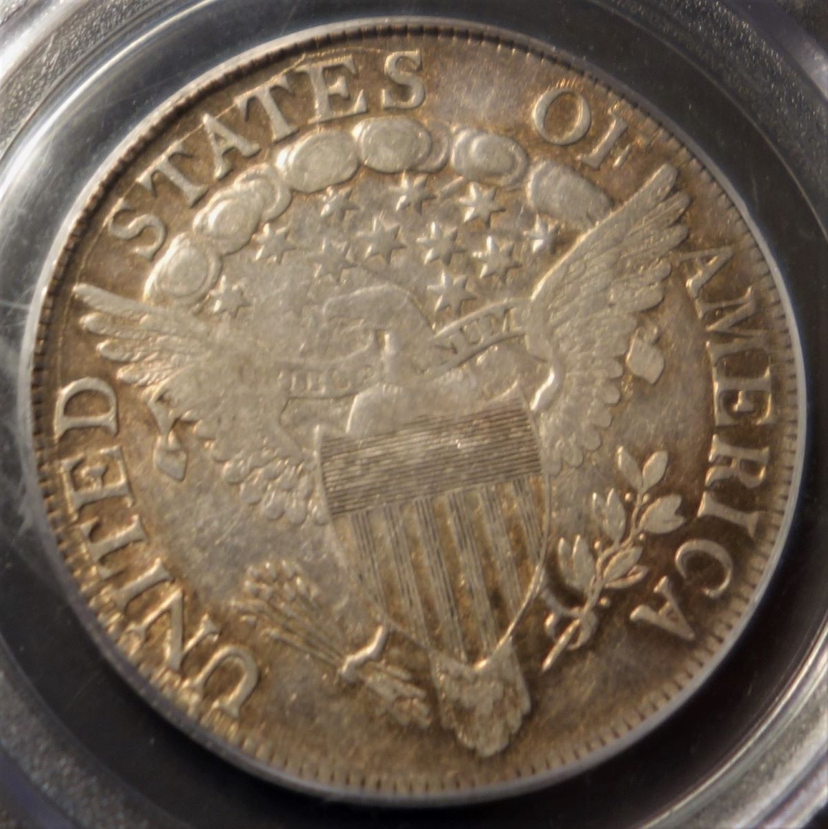 1807-Draped-Bust-Half-Dollar-PCGS-Vs.-You