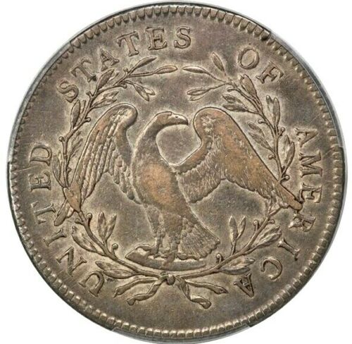 1795-Flowing-Hair-Silver-Dollar,-2-Leaves-PCGS-Vs.-You