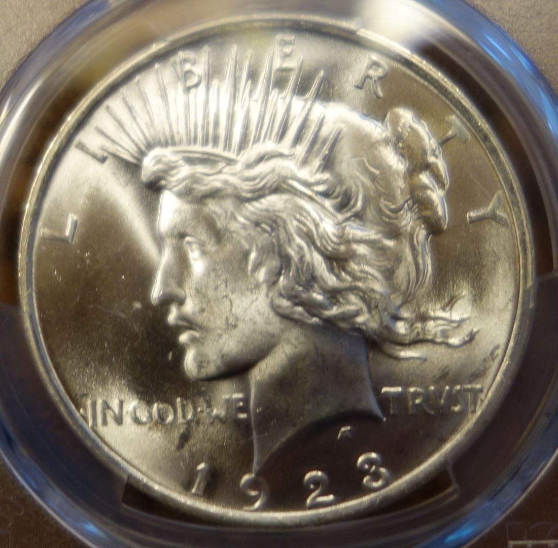 1923-Peace-Dollar-PCGS-Vs.-You