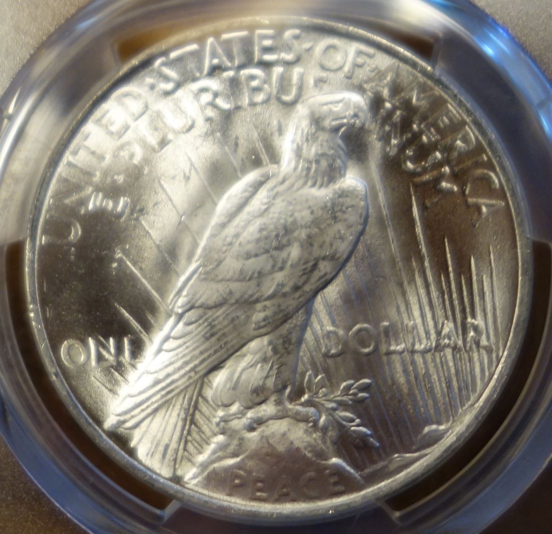 1923-Peace-Dollar-PCGS-Vs.-You