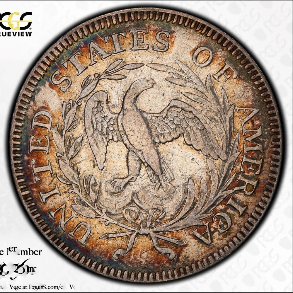 1796-Draped-Bust-Quarter-PCGS-Vs.-You
