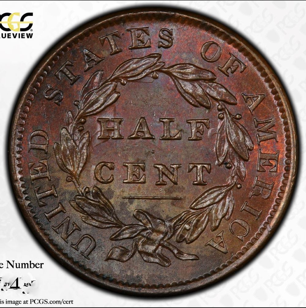 1833-Classic-Head-Half-Cent-PCGS-Vs-You