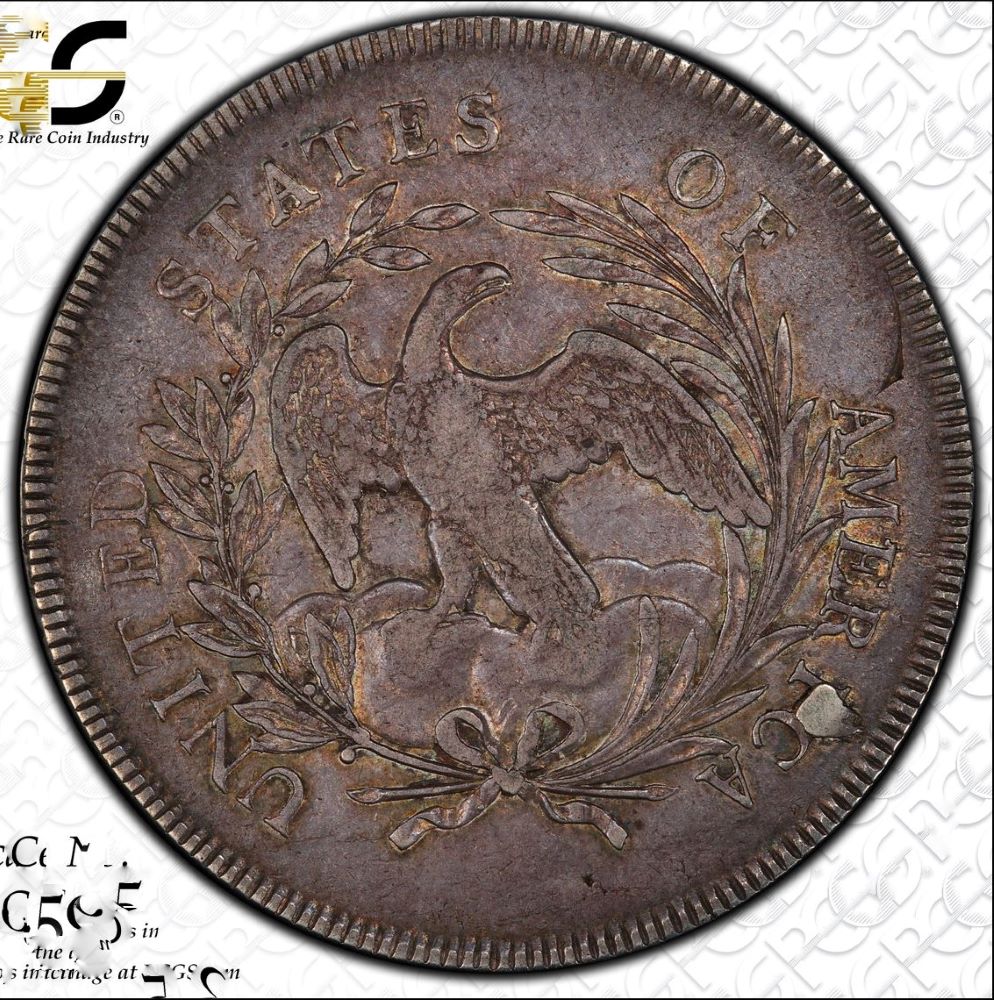 1796-Straight-Graded-Draped-Bust-Dollar---Is-This-Coin-Scratched/Damaged?