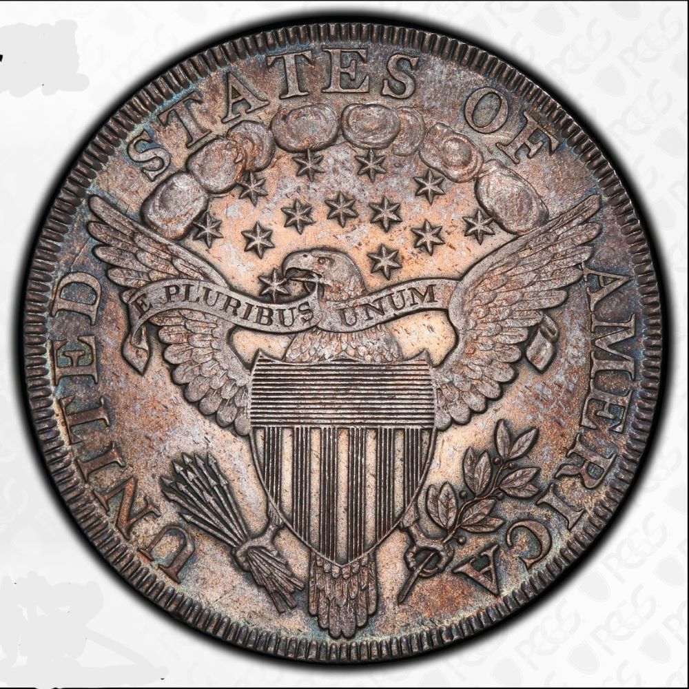 1800-Draped-Bust-Dotted-Date-Dollar--PCGS-Vs-You