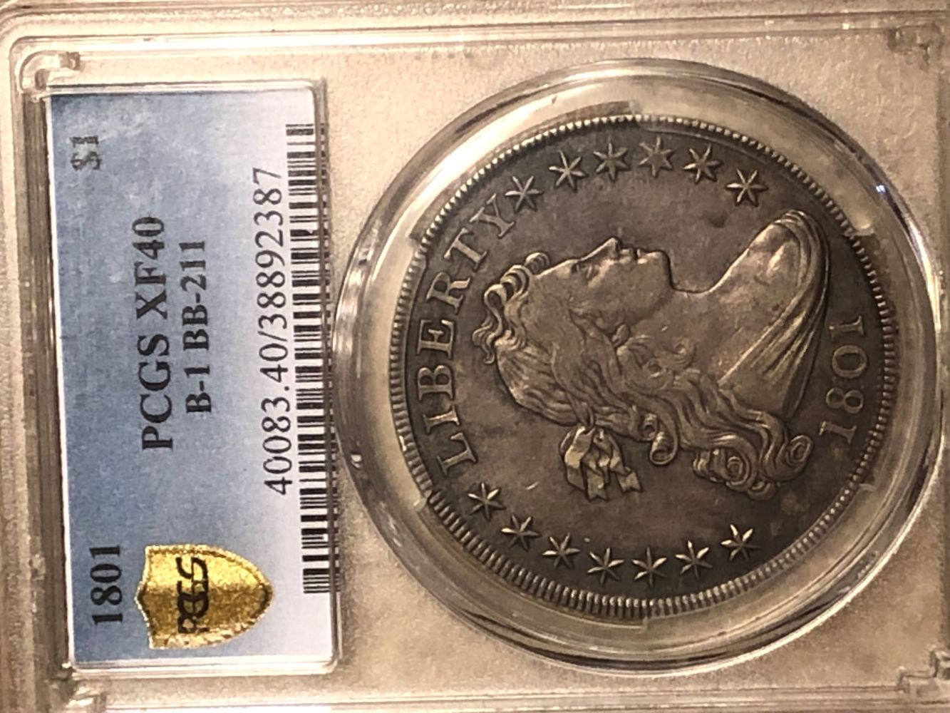 1801-Draped-Bust-Dollar-PCGS-Vs-You