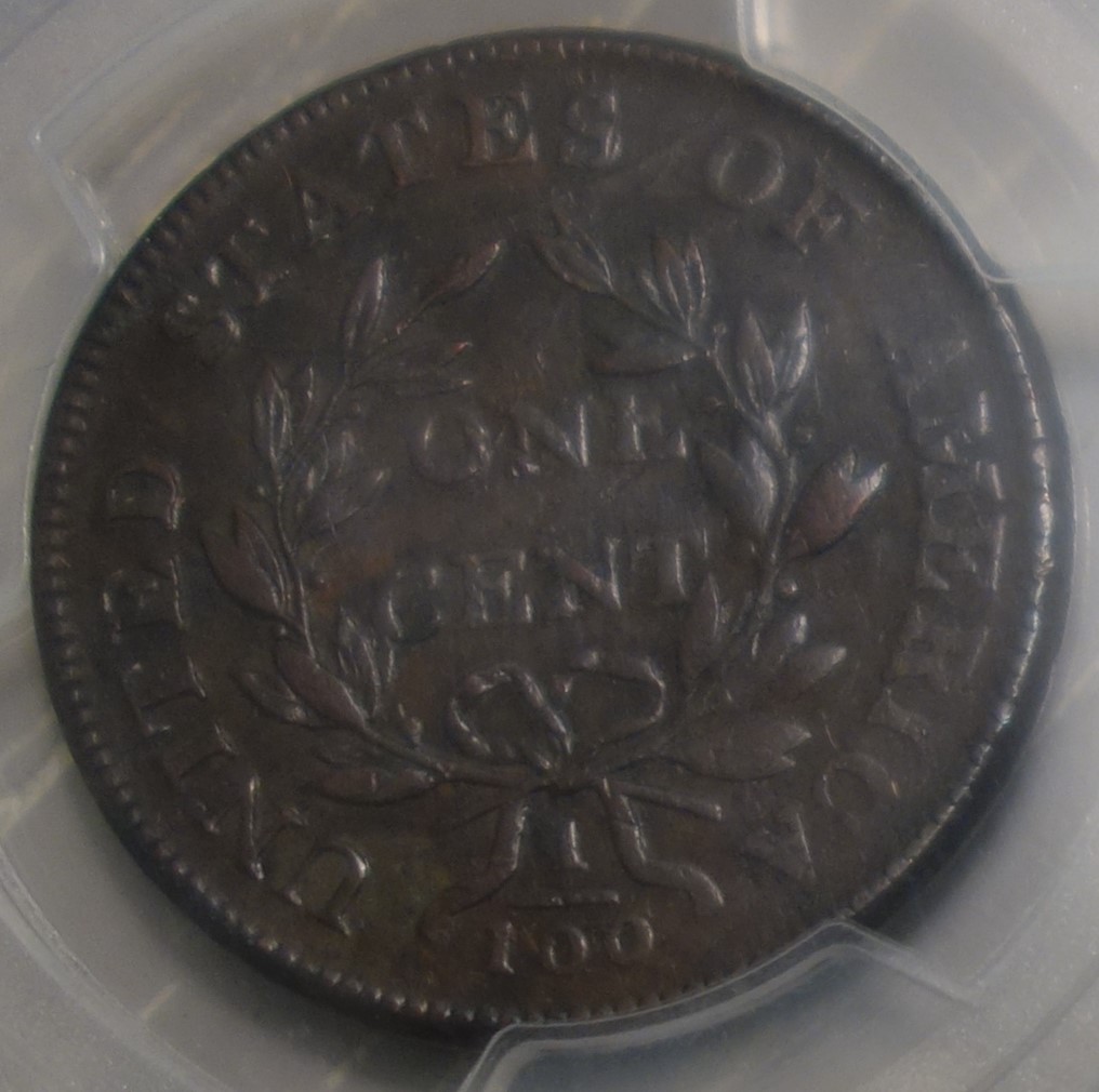 1802-Draped-Bust-Large-Cent-PCGS-Vs-You