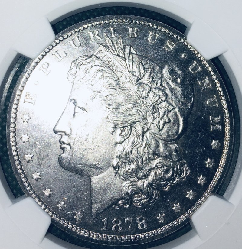 CC-Morgan-Dollars-You-Vs.-TPG