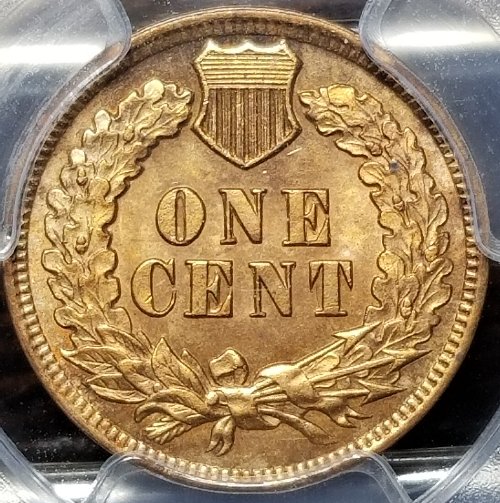 1902-Indian-Head-Cent...you-Vs.-PCGS
